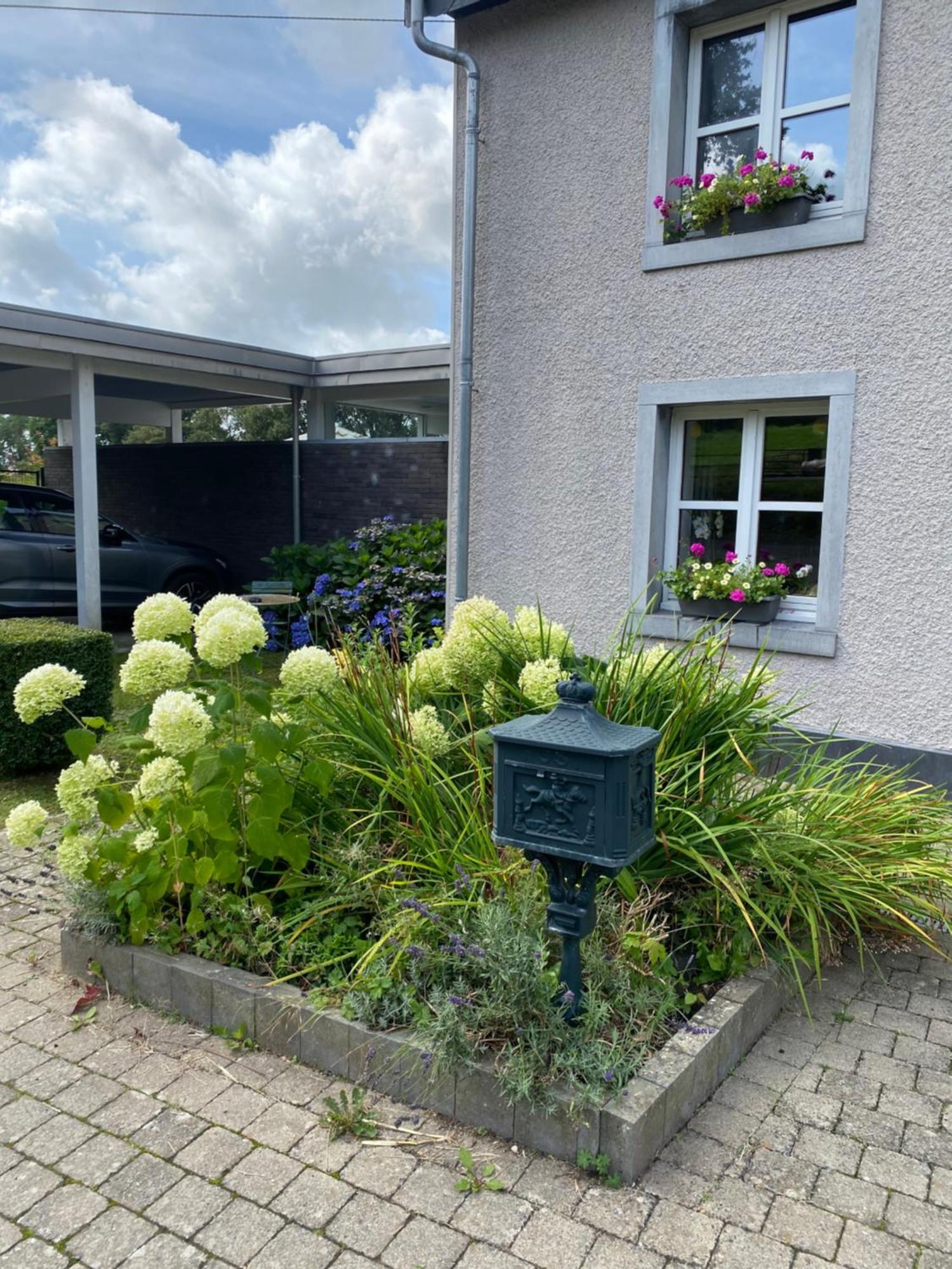 Les Sansonnets Hotel Vaux-sur-Sure Eksteriør billede